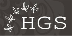 hgsgroup_logo